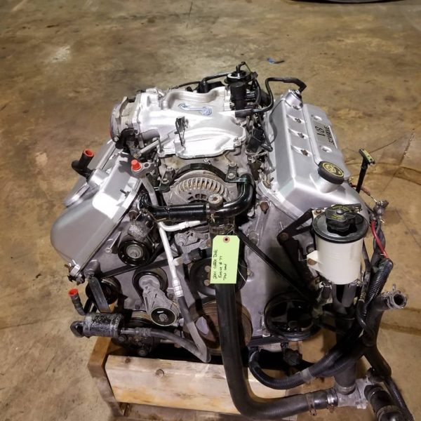 2001 Cobra motor