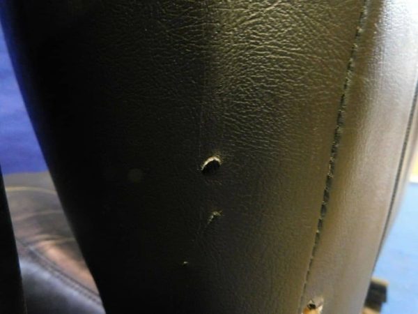 2003 Ford Mustang Saleen Front seats - Image 6