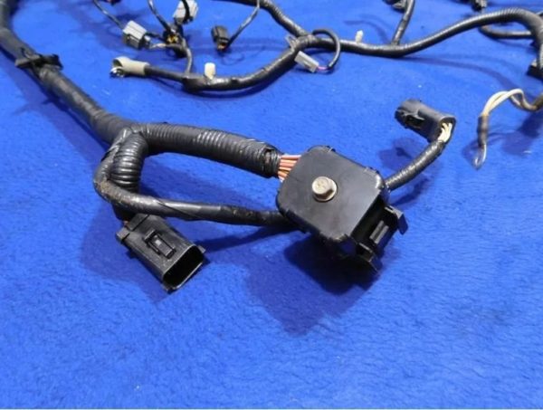 2004 Mustang GT 4.6L Fuel Injector Wiring Harness - Image 8