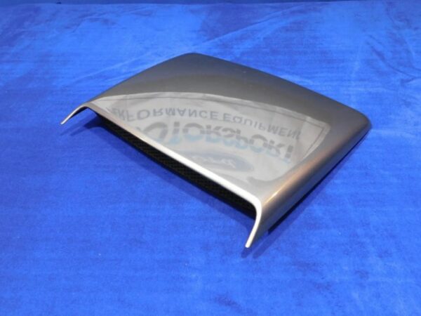 01-04 Ford Mustang GT Hood Scoop