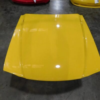 1994 Mustang GT OEM hood