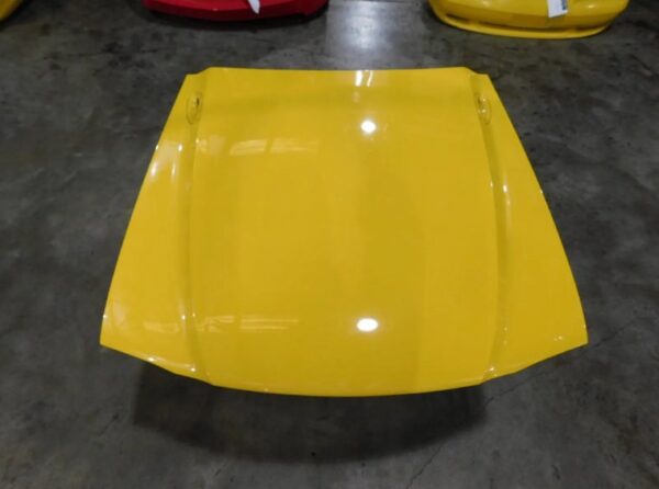 1994 Mustang GT OEM hood