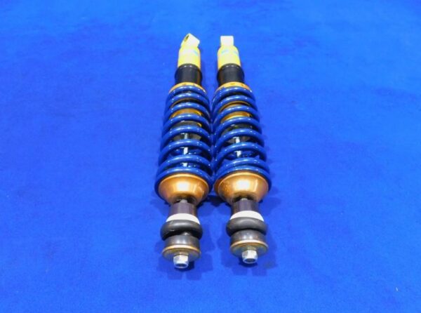 1999 Cobra IRS Bilstein Rear Coilover Shocks